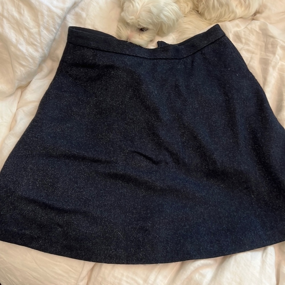 Wool, Lined Banana Republic Skirt